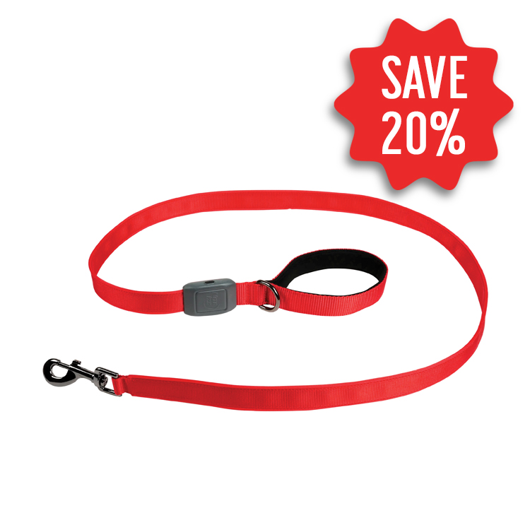 Nitelze NiteDog Rechargeable LED 5′ Dog Leash