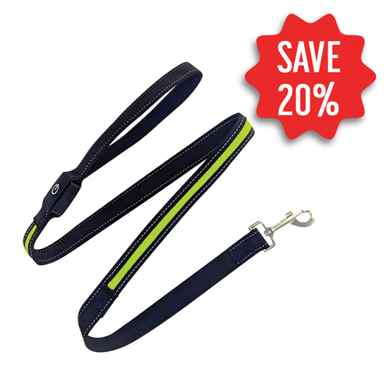Sona Enterprises Illuminated Green and Black 4′ Dog Leash
